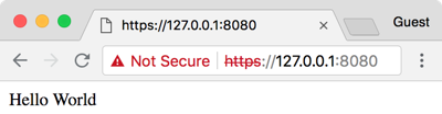 ssl web page